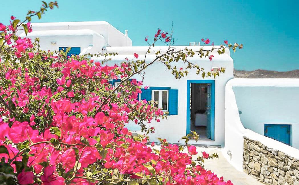 Sea View Property Panormos Mykonos , Mykonos Properties 4