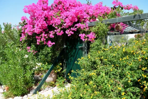 Detached House for Sale Lindos Rhodes 23