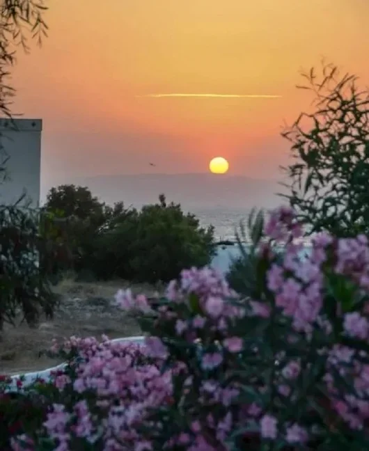 Discover Your Dream Home in Naxos 2