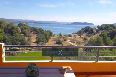 Luxurious Villa for Sale in Porto Heli, Kranidi Greece 10