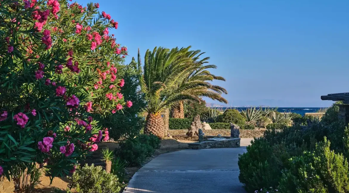 Seaside Villa in for sale Agios Sostis, Tinos 23