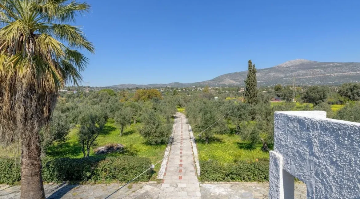 Exceptional Seaside Residence in Eretria, Evia for sale 10