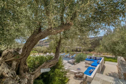 Luxurious Villa for Sale in Paros Greece 5