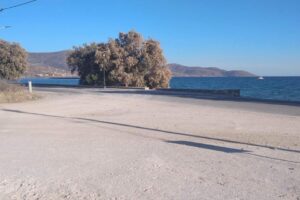 2 Seaside plots for sale Karystos