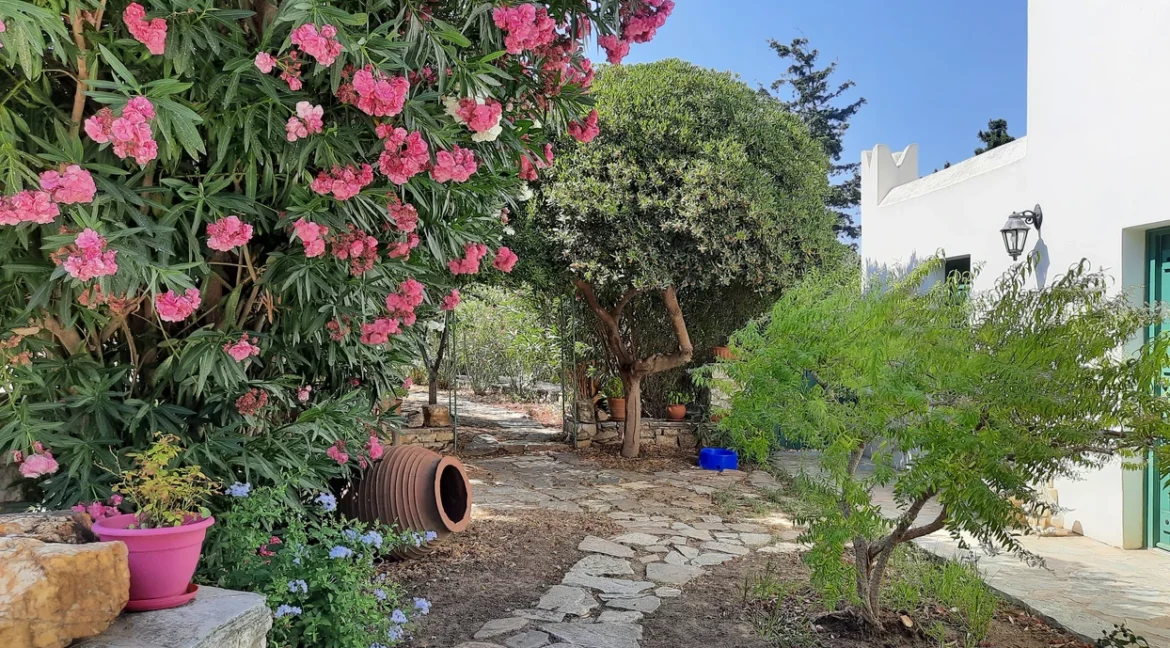 Villa for Sale in Naxos 19