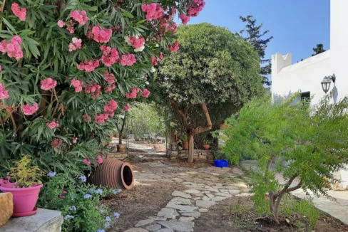 Villa for Sale in Naxos 19