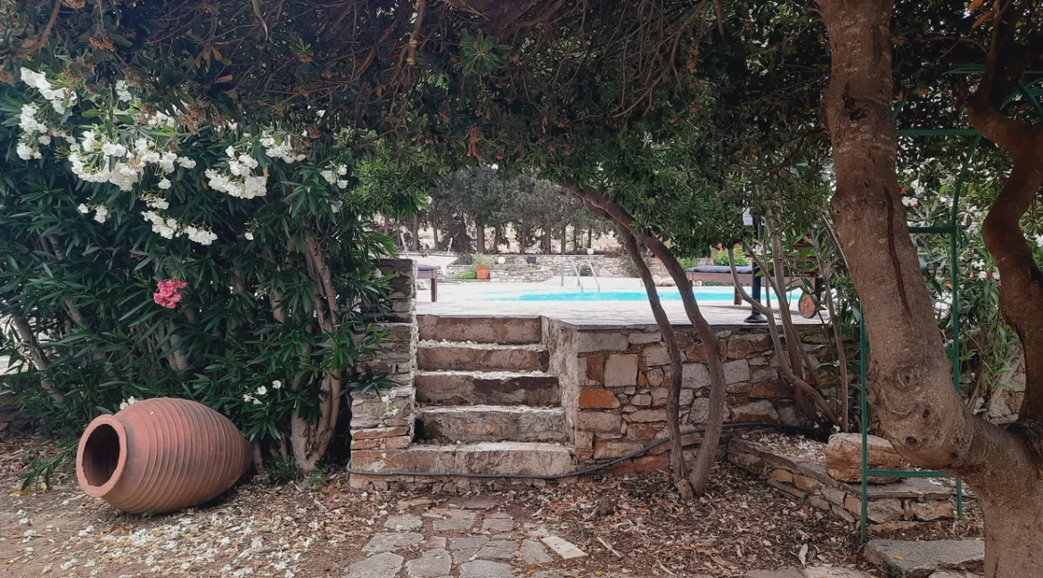 Villa for Sale in Naxos 20