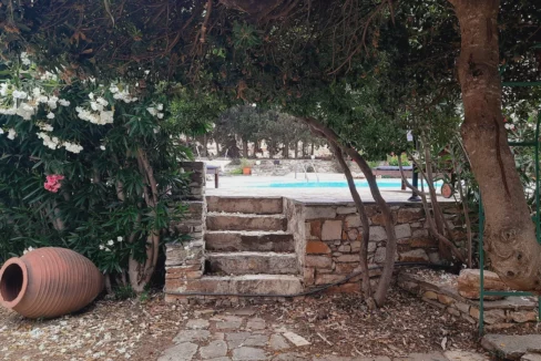 Villa for Sale in Naxos 20